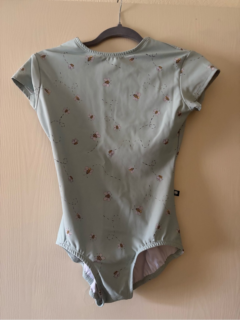 Lucky Leo Limited Edition ballet leotard